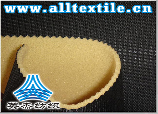 TPUิ