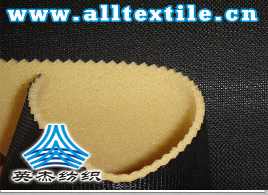 TPUิ
